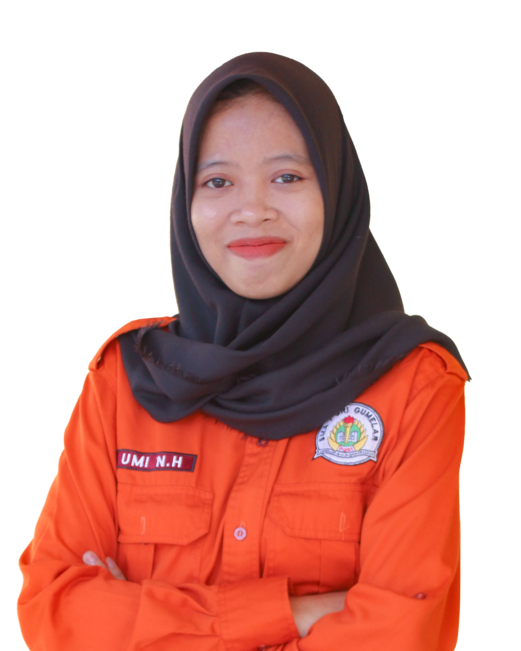 Foto Guru Umi Nur Hasanah, S.Pd