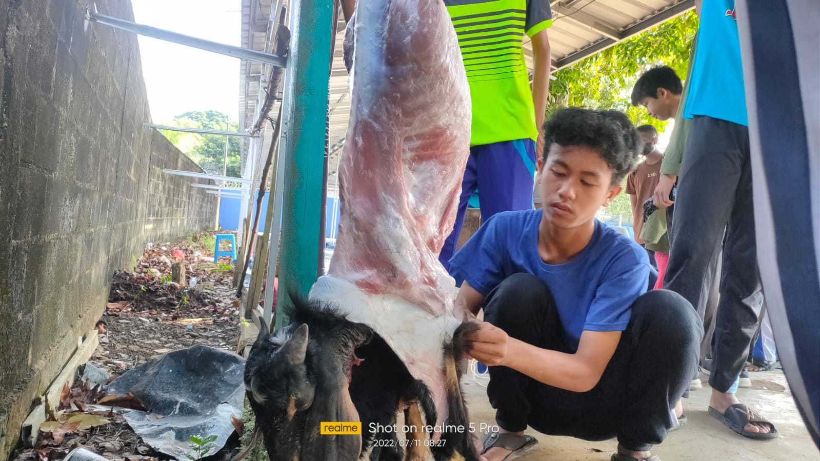 Qurban 1443 H