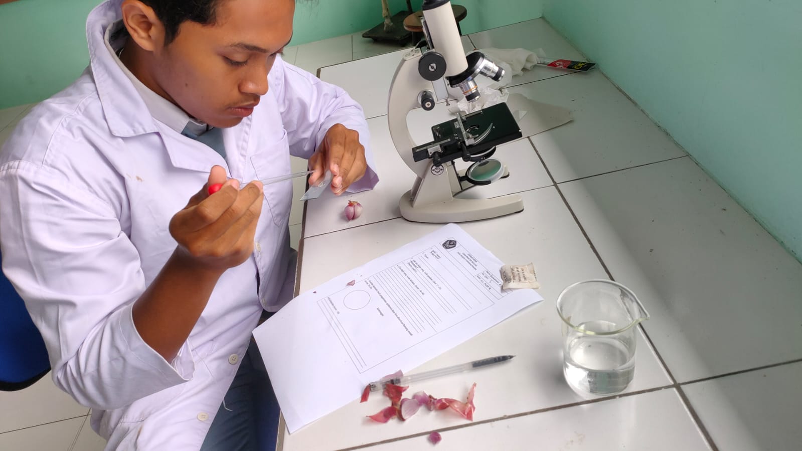 Ujian Praktik