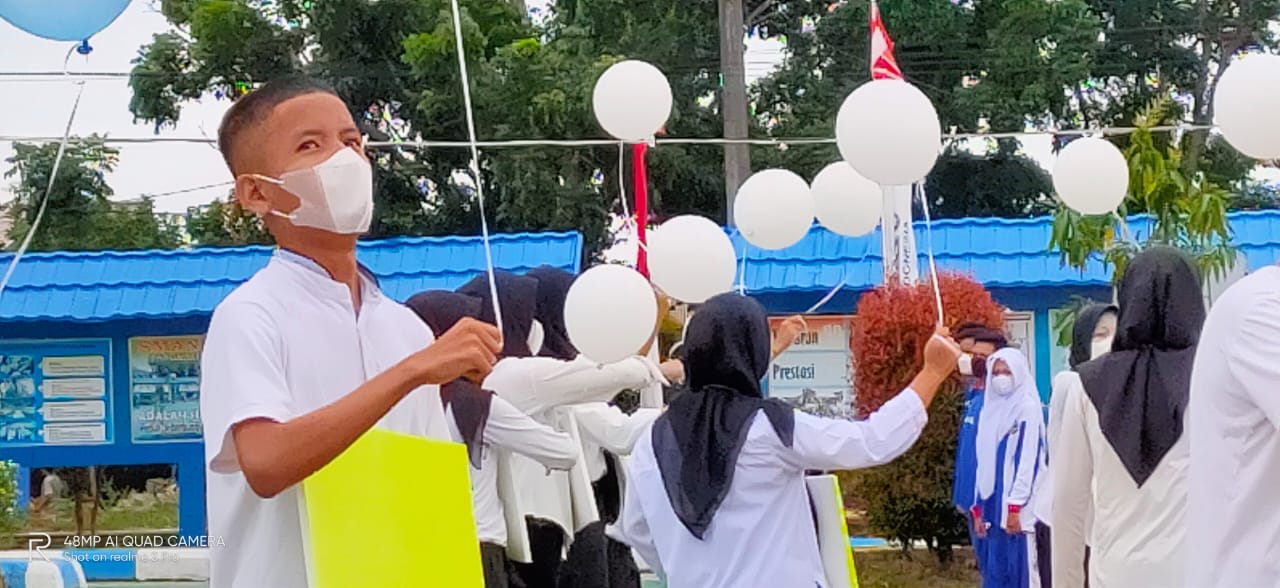 HUT SMANETA ke 30