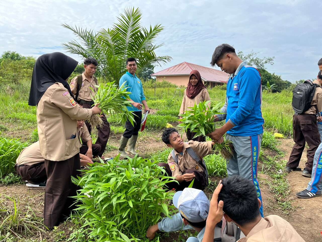 Agribisnis Tanaman
