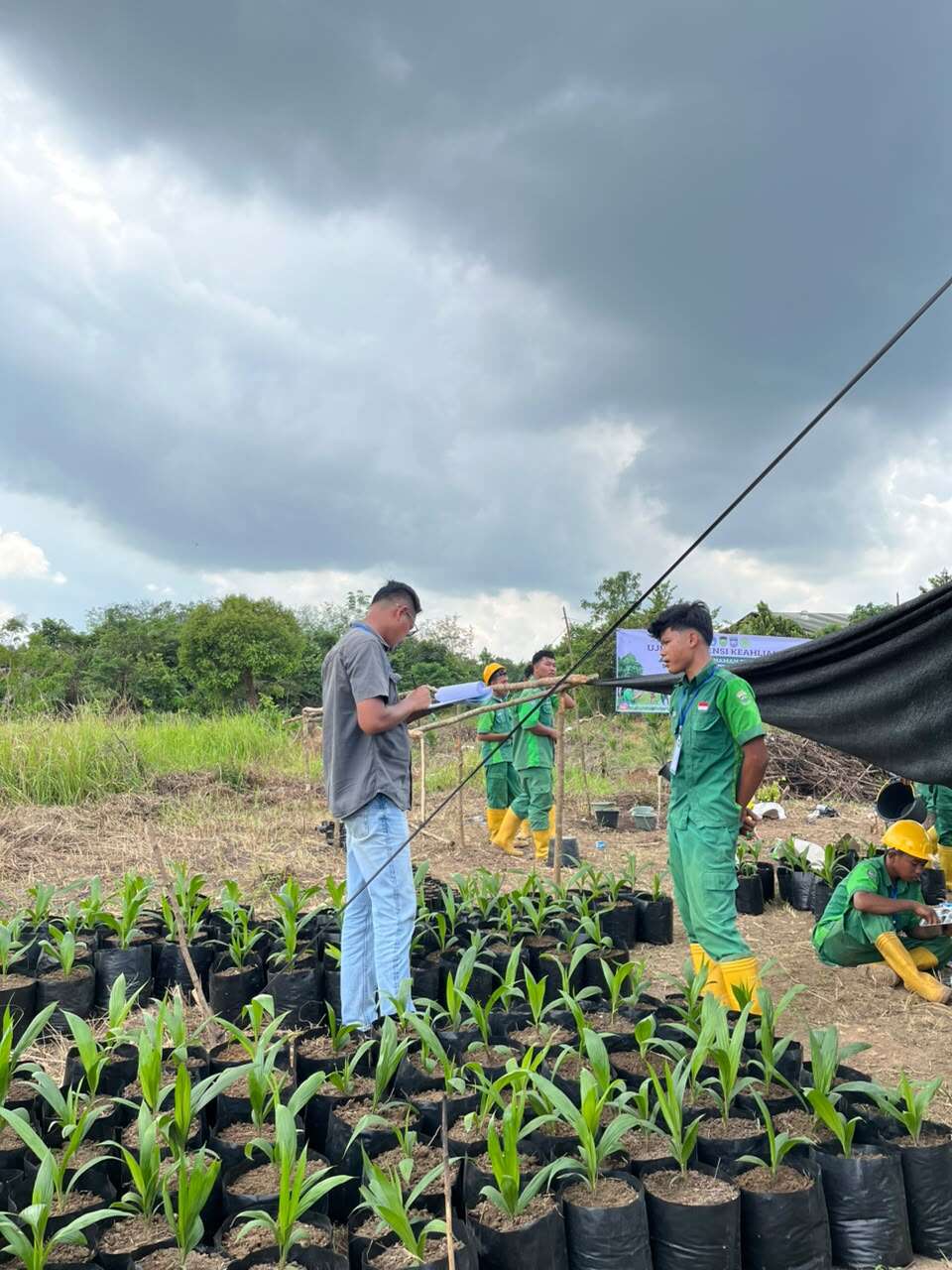 Agribisnis Tanaman