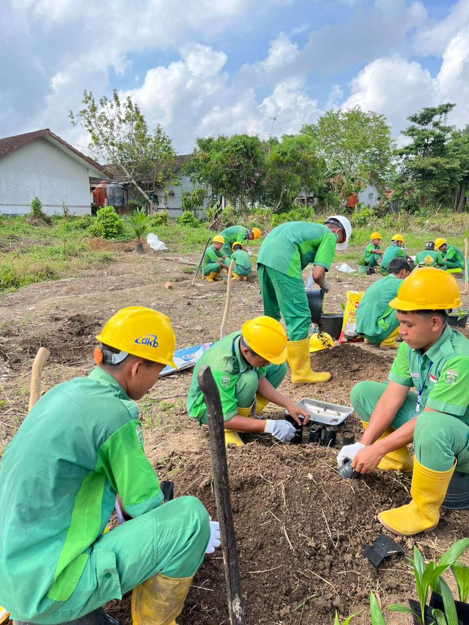Agribisnis Tanaman