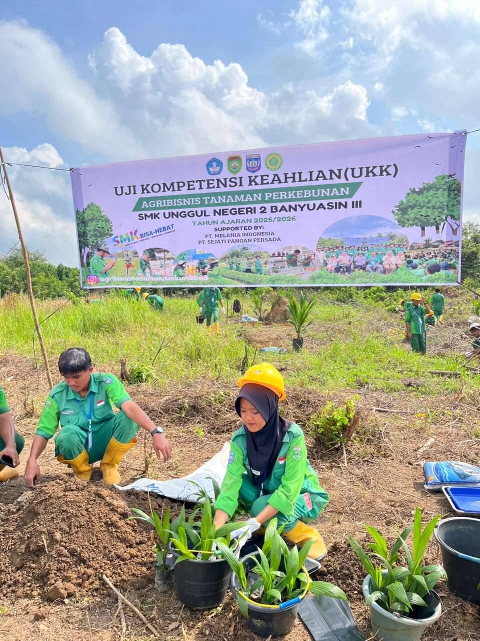 Agribisnis Tanaman